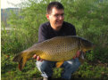 Schuppenkarpfen, Gewicht: 11,6 Pfund, Fangdatum: 08.05.2010, Kder: Carparea 2010 Boilie, Land: sterreich