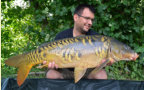 "Scaly" Karpfen, Gewicht: 17 Pfund, Fangdatum: 07.08.2017, Kder: Carparea 2012 Boilie, Land: sterreich