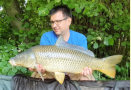 Schuppenkarpfen, Gewicht: 16 Pfund, Fangdatum: 26.06.2023, Kder: Carparea Boilie, Land: sterreich